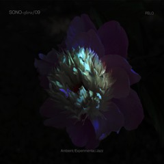 SONO-sfera/09 Felo