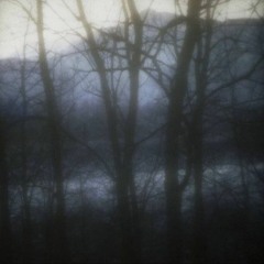 Schwarzernebel
