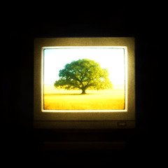 Screenscape (Sped Up)