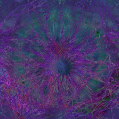 Pulsation