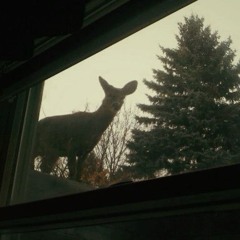 Tired of all the lies