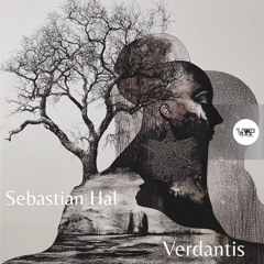 𝐏𝐑𝐄𝐌𝐈𝐄𝐑𝐄: Sebastian Hal - Aetheris [Camel VIP Records]