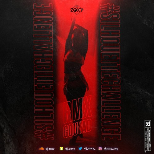 DJ ZOXY silhouette challenge remix gouyad 2021