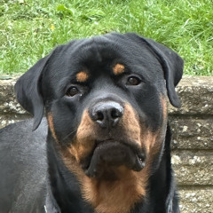 you know what you should do