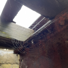 trolly tracks