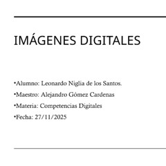 Ntic competencias digitales finalesa 27.11.2025