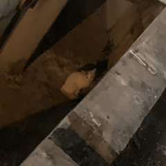 Beautiful (Ballad ver.) @ 2PM OF 2PM