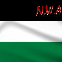 My Blood Is Palestine / NWA Mash Up