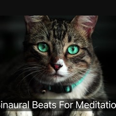 🧘‍♀️🧘‍♀️🧘🏽‍♀️