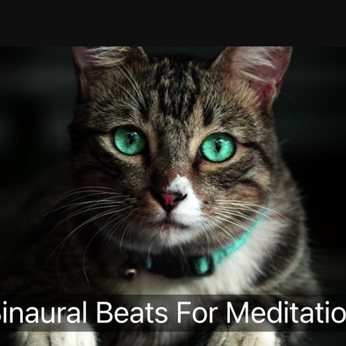 🧘‍♀️🧘‍♀️🧘🏽‍♀️