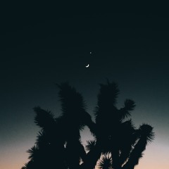 Nights Deserts Eye