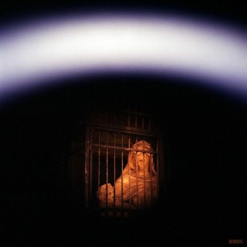 Birds - The Chimes Of Solitude [Freeride Millenium]
