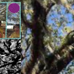 D Flat MAJOR 147 BPM LEAH DOU TYPE BEAT