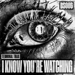 Premiere: Terminal Trax - I Know You're Watching [DS006]