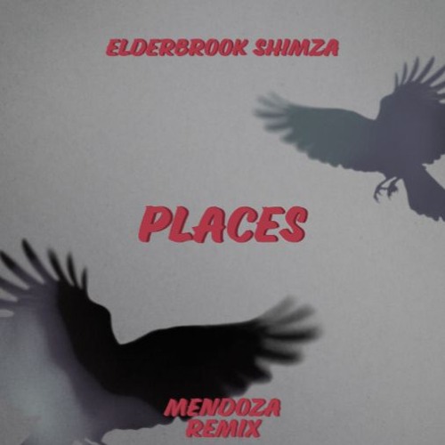 Elderbrook, Shimza - Places (Endo Remix) [-1 Pitched]