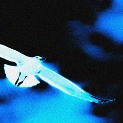 QB - Altitude ft. Vaygrant