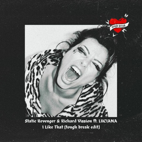Static Revenger & Richard Vission Ft. LUCIANA - I Like That [Tough Break Edit]