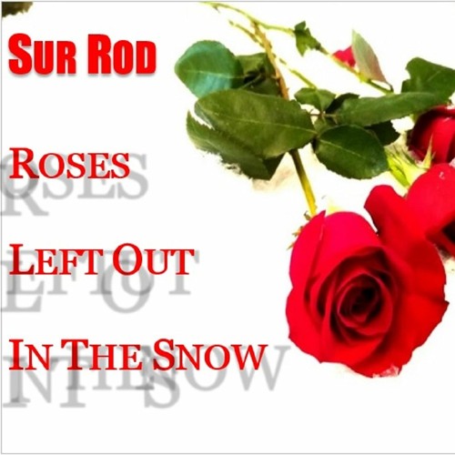 Roses Left Out In The Snow