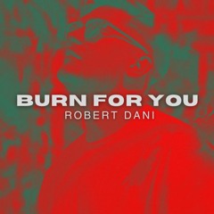 Robert Dani - Burn For You (Radio Edit)