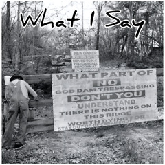 What I Say