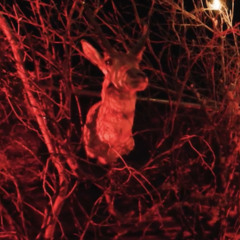 Ladyboss – Fire & Story