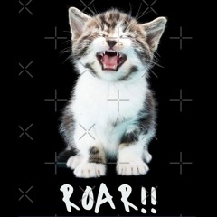 Jwar - kitty Roar pt.2