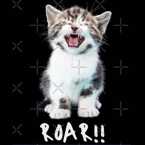 Jwar - kitty Roar pt.2