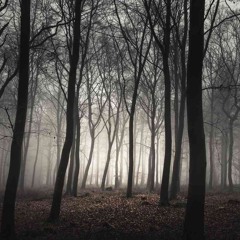 Empty Forest