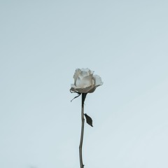 Popcaan x Skillibeng x Teejay type beat | Progress | 97 BPM | Free beat download