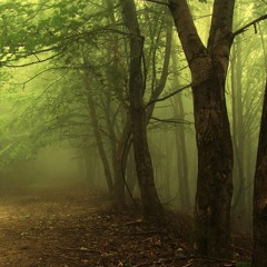 Silence In The Mountains Instrumental