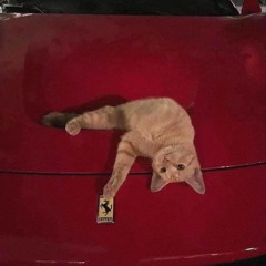 Wiz Khalifa Ft. Snoop Dog - Young wild and Free (Rework)