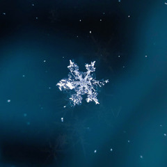 Frost