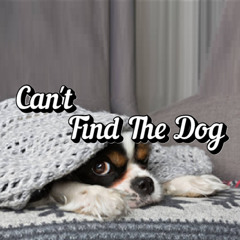 Can't Find The Dog