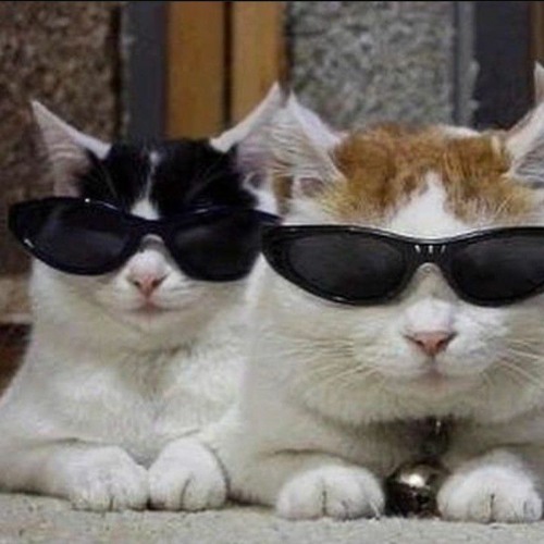 Homicidal impact ( Kreepy X 999x999z (V1$G3) )