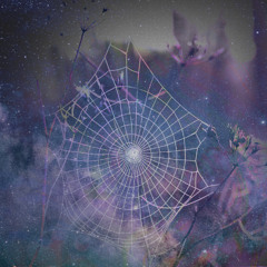 Cosmicweb