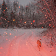 SVVENIR w/ Minou Oram (19/12/2024)