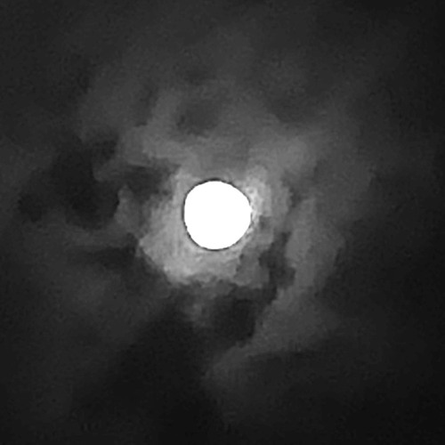 Avoidant attachment style