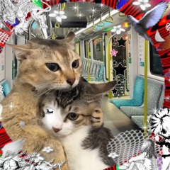 Breakin From The Opps 163BPM