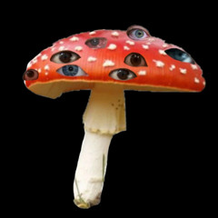 Weird Shroom