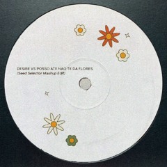DESIRE VS POSSO ATE NAO TE DA FLORES (Seed Selector Mashup Edit) Free Download