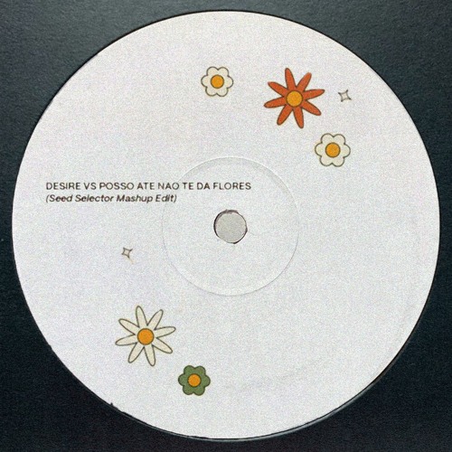 DESIRE VS POSSO ATE NAO TE DA FLORES (Seed Selector Mashup Edit) Free Download