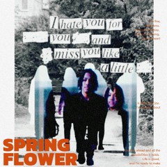 Springflower (official instr).wav