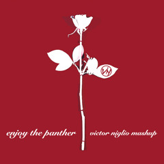 Depeche Mode vs. DECAP - Enjoy the Panther (Victor Niglio Mashup)