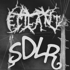 Ecilant w/ SDLR - 26/07/2025