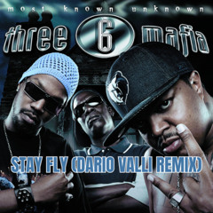Stay Fly (Dario Valli Remix)