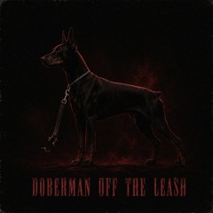 DOBERMAN OFF THE LEASH