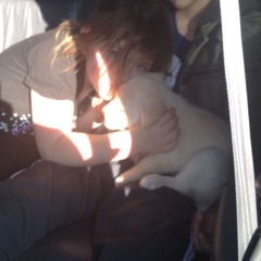 forever in peace ---  [ a celebration of life ] ---