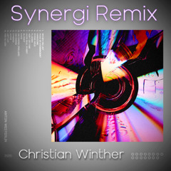 Anton Westerlin - Synergi (Christian Winther Remix)