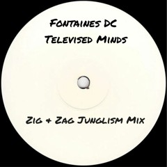 Televised Minds (Junglism Mix)