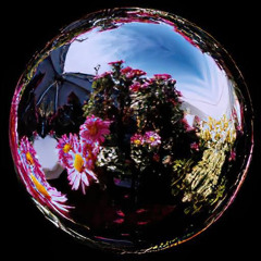 Contact Lens - Infamous